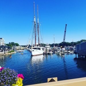 Meet your Posher, Abaigeal